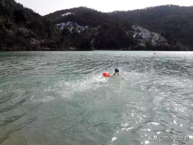 游泳的10大好处图,游泳的好处总结一句话