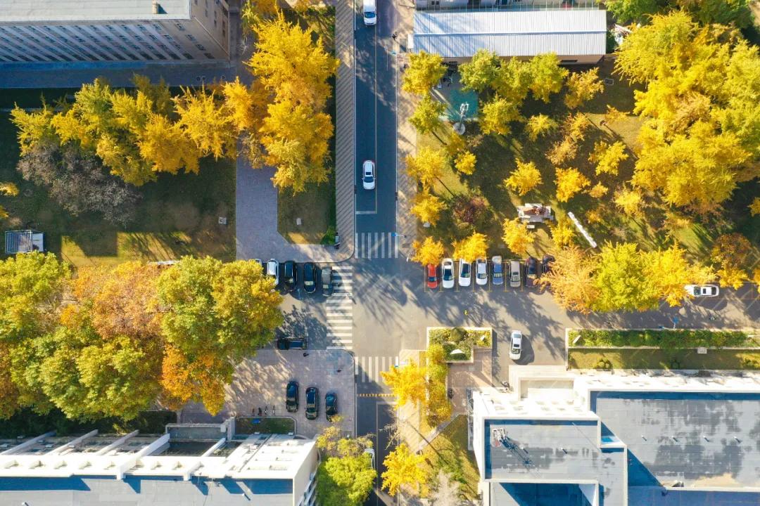 醉美大工秋|读书不觉已秋深，____________