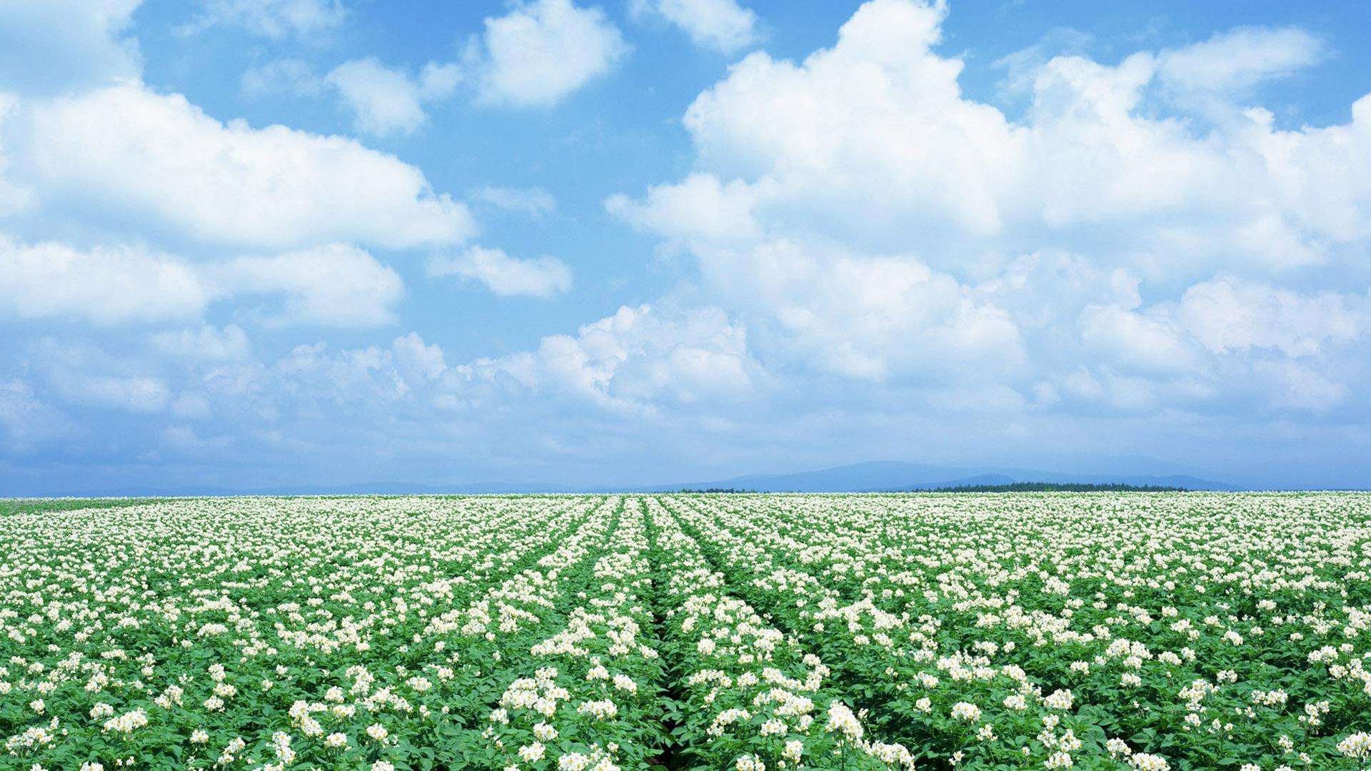 心理学丨太害怕死亡？这么做，可以让你坦然面对它