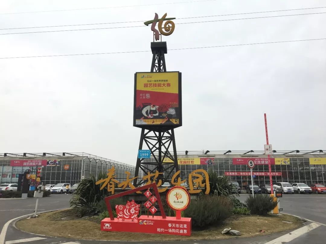 成都的花市批发市场在哪里,成都花市合集