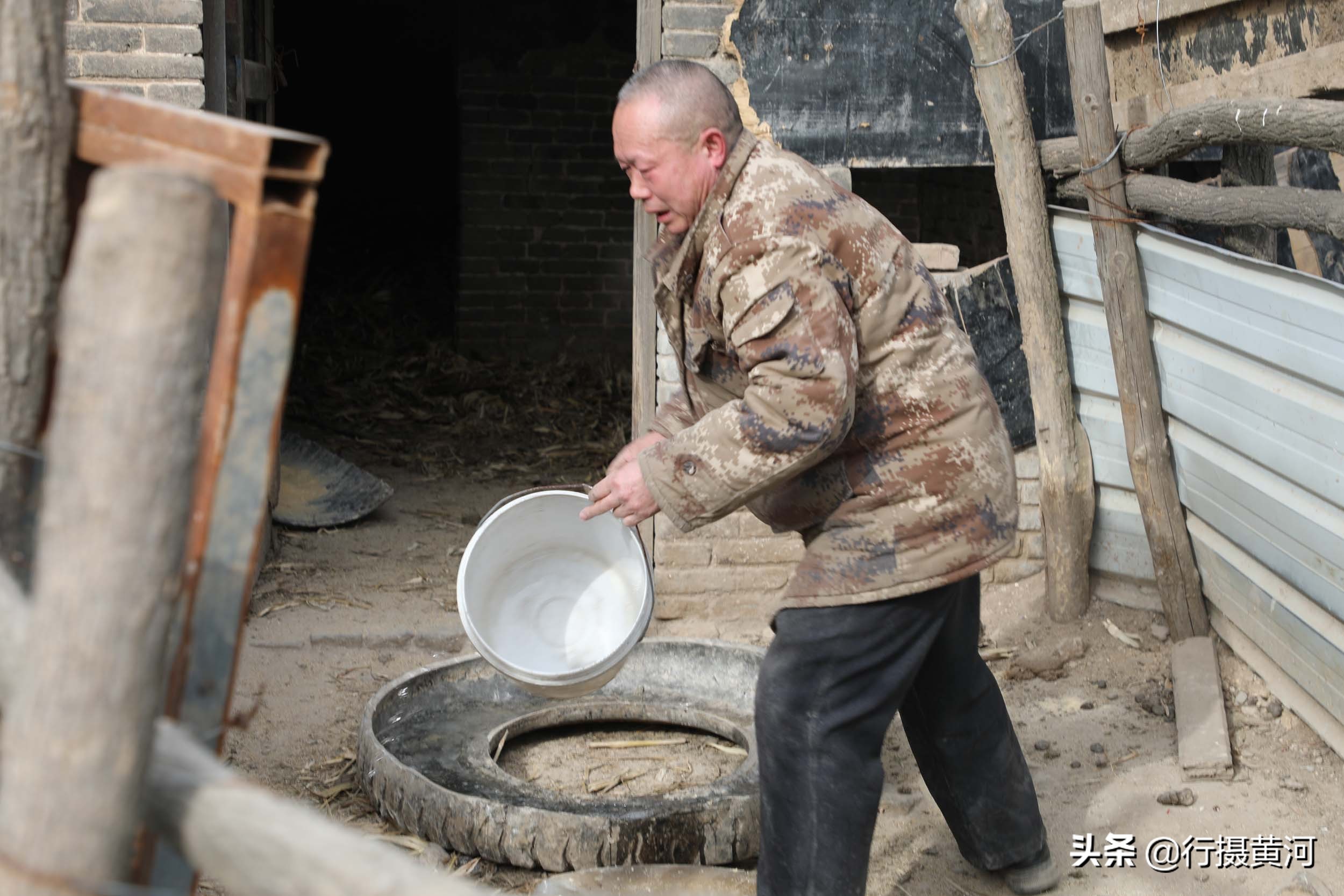 90后夫妻山中搞养殖飞鸡,6旬夫妻深山养牛