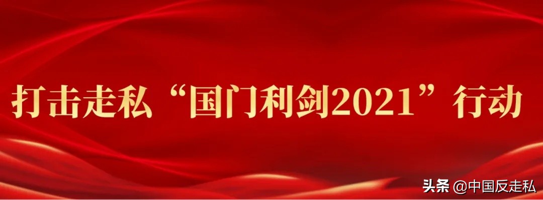 国门利剑2011,国门利剑2016案件