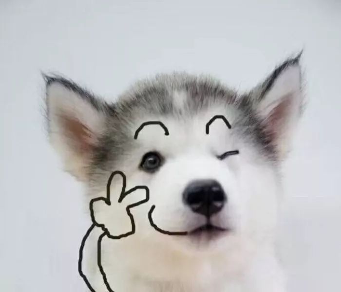 海淘运费和手续费,海淘一般选哪档的运费