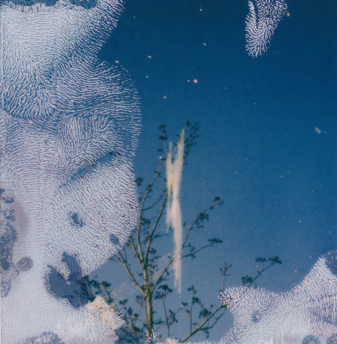 勇气人性智慧,勇气是第一美德