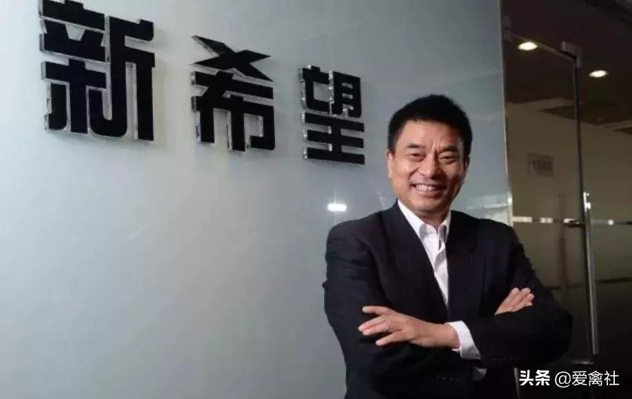 养鸡好挣钱吗,养鸡前景如何