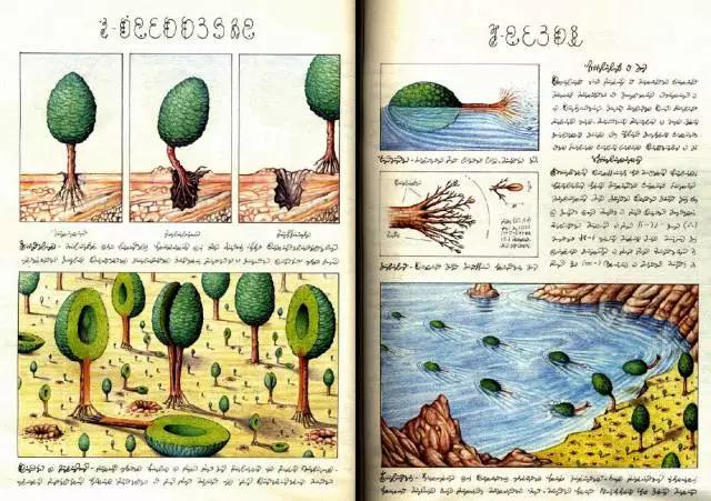 这本天马行空的百科全书有400多页，我却一个字都看不懂