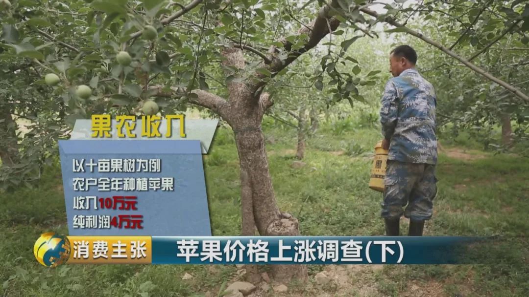 走访终端市场要了解哪些,全国苹果产区最新信息