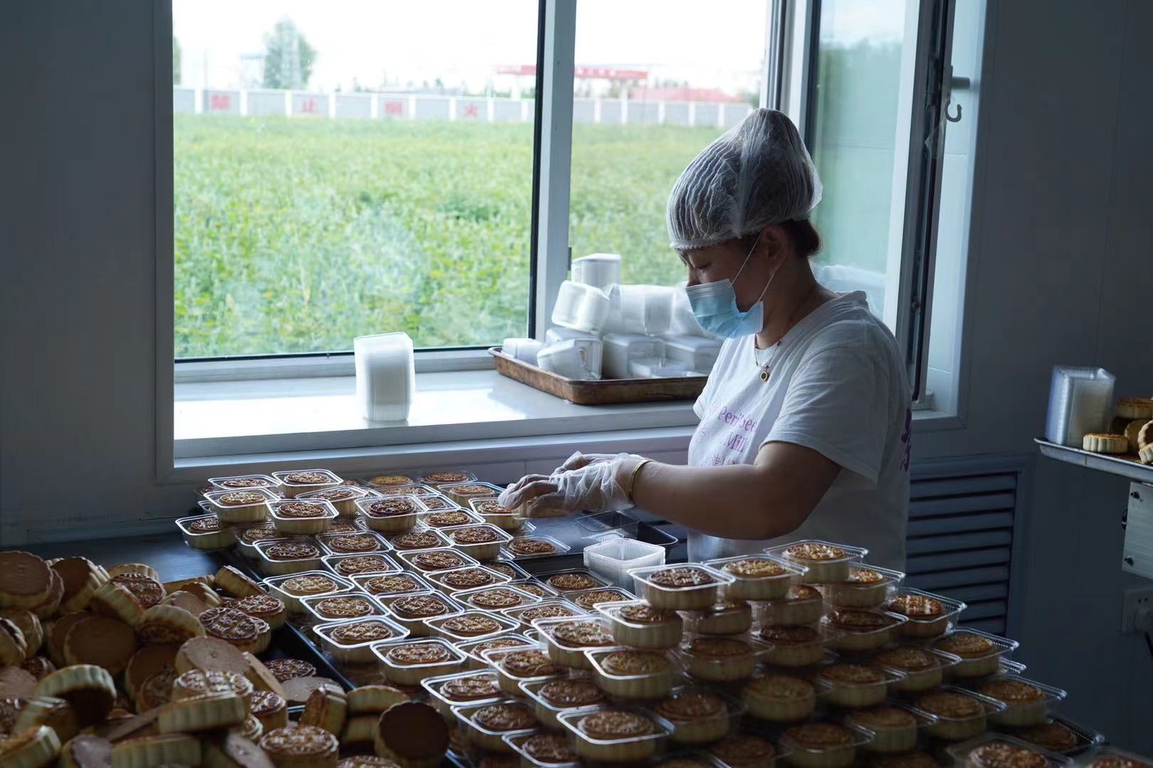 桦南紫苏种植基地在哪里,华南紫苏之乡