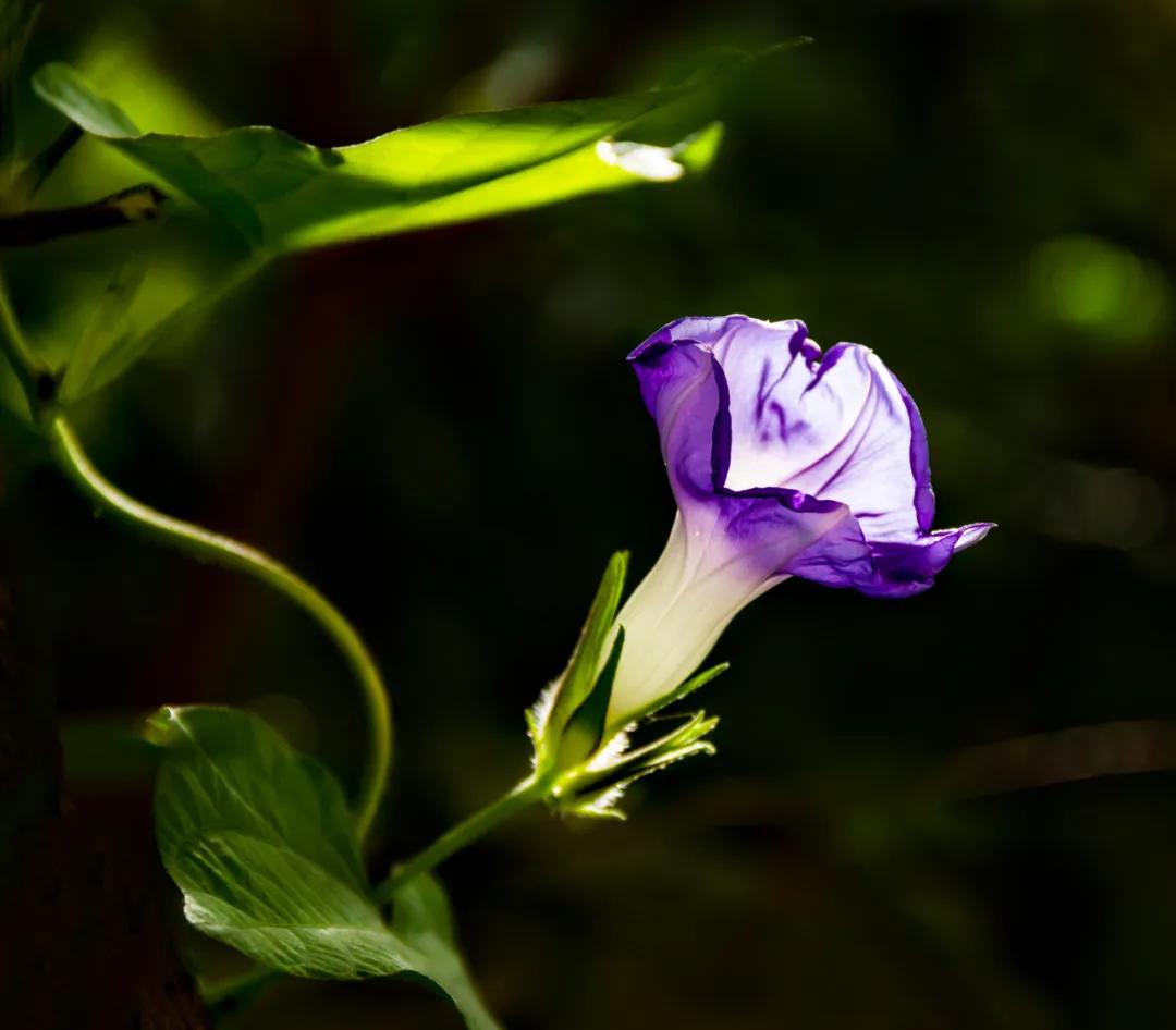 香港第14届全国摄影艺术展,第29届全国摄影艺术展览获奖名单