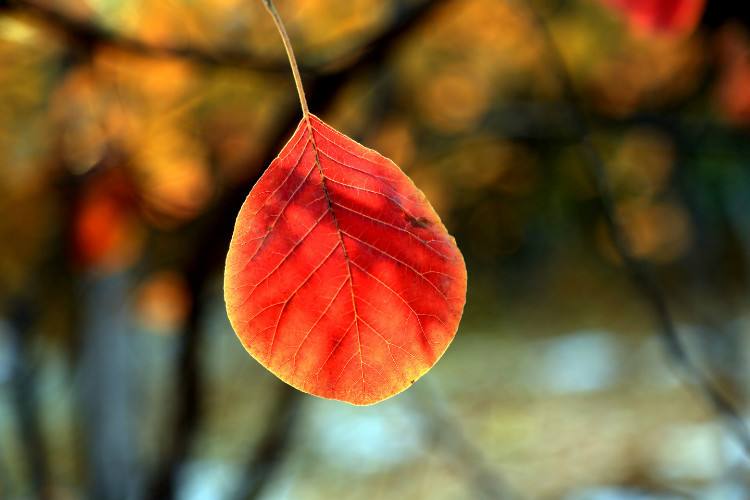 吸天地之灵气取日月之精华,人要吸收天地灵气吗