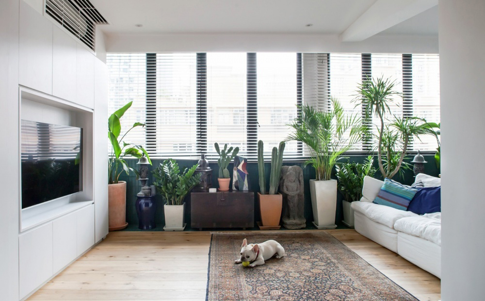 房子装修，打造一个高颜值的家，学习10个变美小技巧！