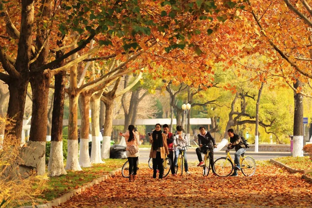 天津普通二本学校,天津普通二本大学目录