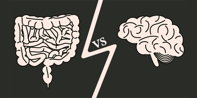 肠脑轴,脑肠轴及其研究进展