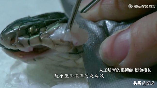 有钱人的世界真的不能想象,有钱人的世界真的难以想象