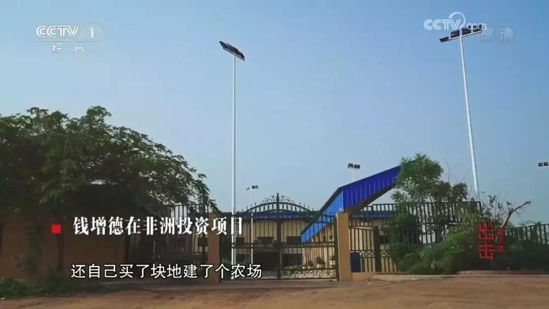 澶鎮枒鐮存绾綍鐗囨湁鍝簺,鐪熷疄鎮枒鍒戜睛妗堜欢