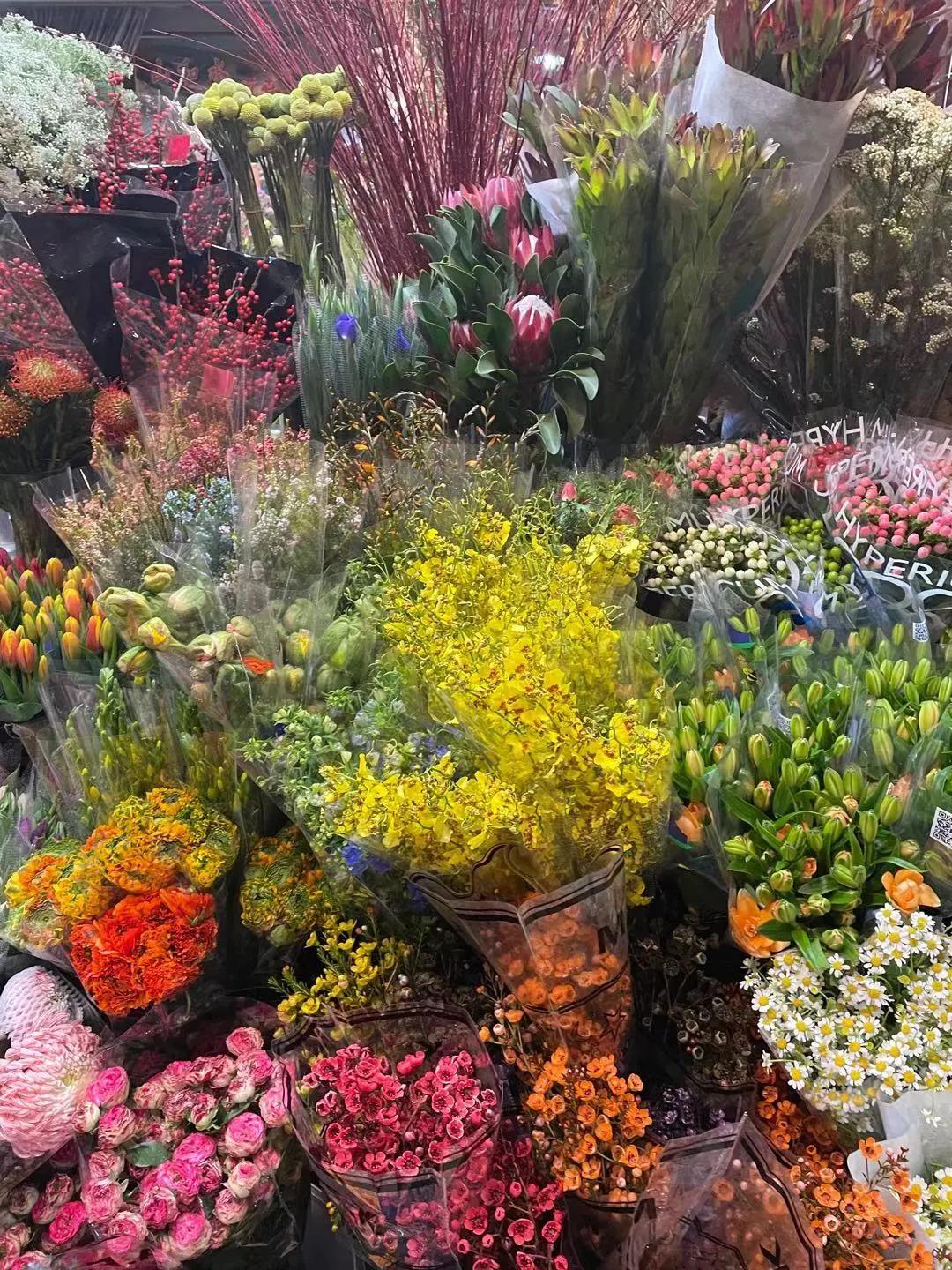 实拍青岛花卉市场！你每年都会选购哪些品种的年宵花呢？