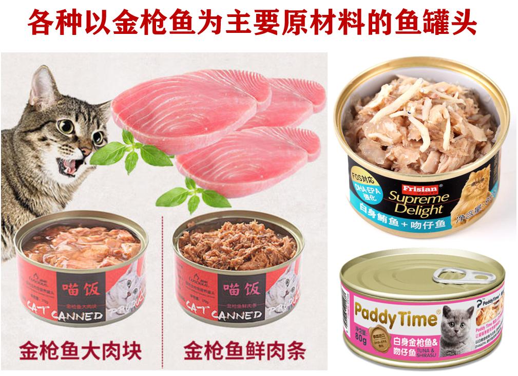 猫常吃鱼怎么样,猫可以经常吃什么鱼
