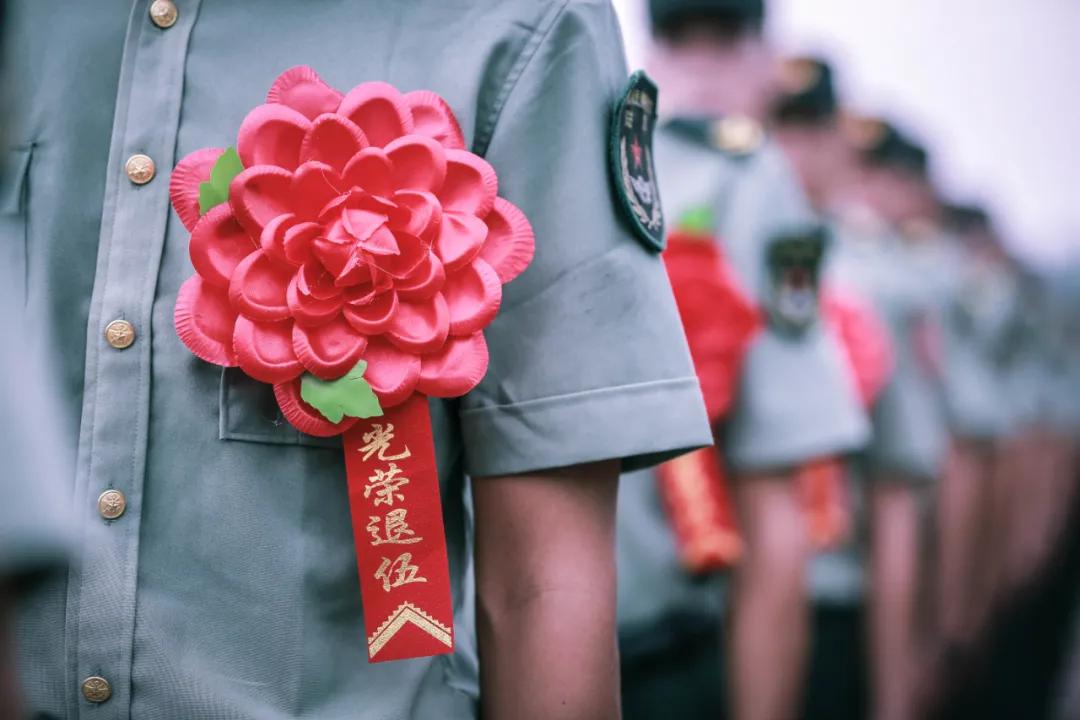 浙江退役士兵免试专升本,河南退役士兵免试专升本