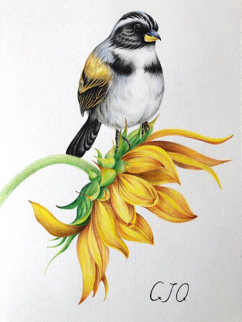 童话体裁,复活童话书