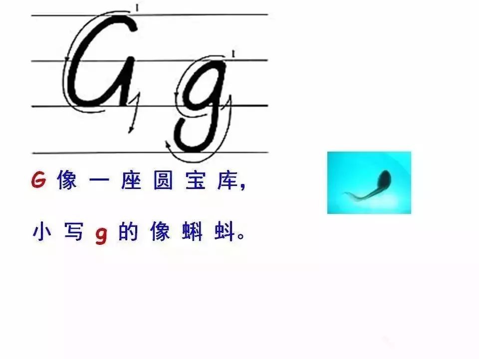 26个英文中字母正确拼写,26个英文字母漂亮的书写