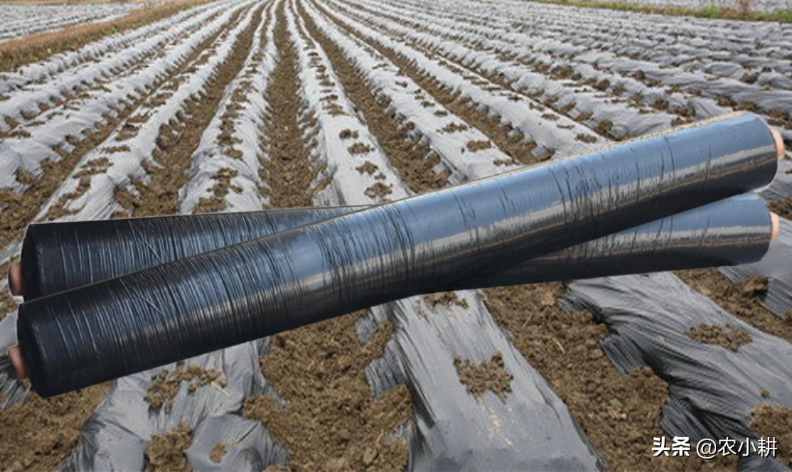 农膜污染整治视频,废旧地膜污染
