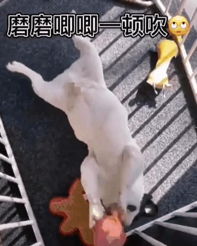 鹿晗关晓彤怎么认识的,热巴鹿晗什么时候认识