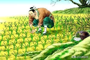 成语辨析题目及答案,成语辨析400句