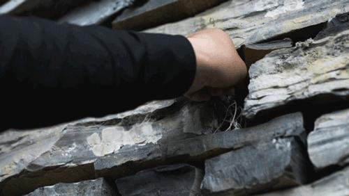 武大师兄弟复活湘西秘境，1块钱就能入股