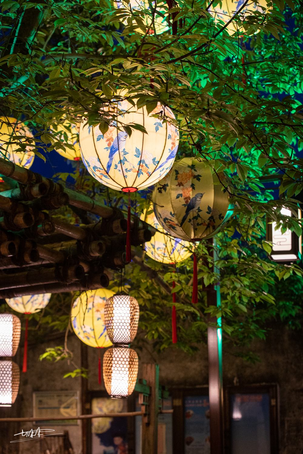 周庄古镇江南水乡美如画,周庄梦里水乡视频