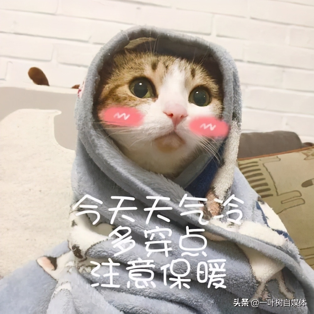 抖音10个赚钱项目怎么做,抖音赚钱小项目怎么操作啊