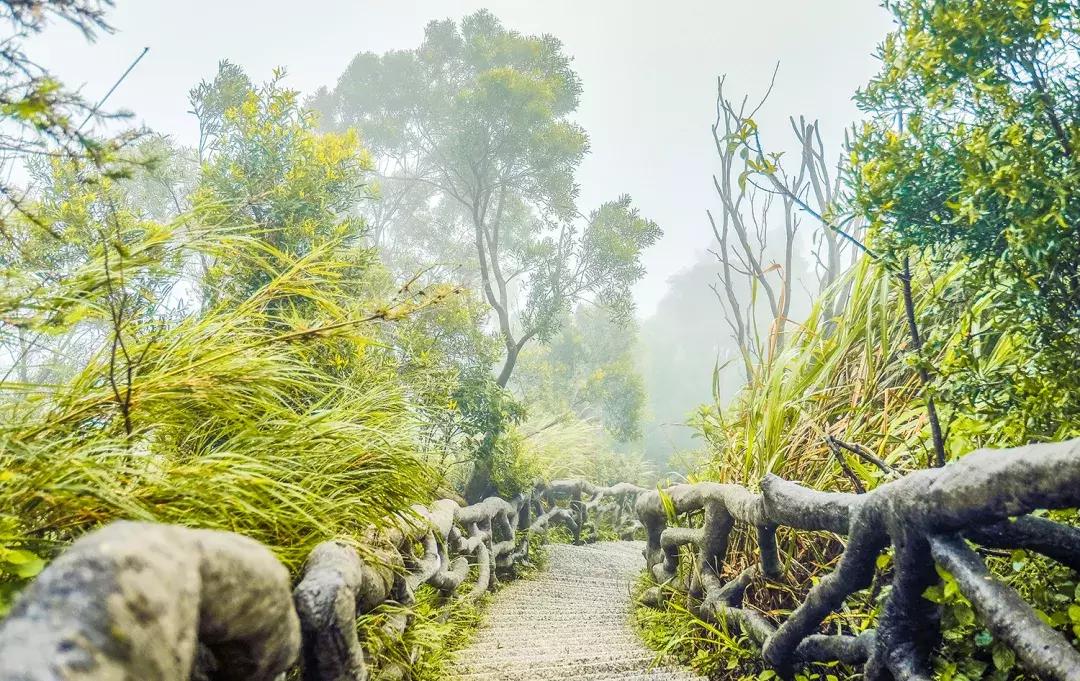 隐藏在梧桐山里的世外桃源,深山独门独户世外桃源