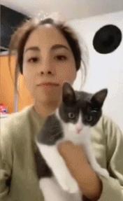 老虎：这是我准备养大吃的，你来凑什么热闹