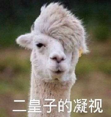 庆余年群演是谁,庆余年213位女演员神仙颜值