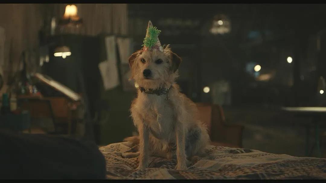 这美人一发疯，又是热搜混战