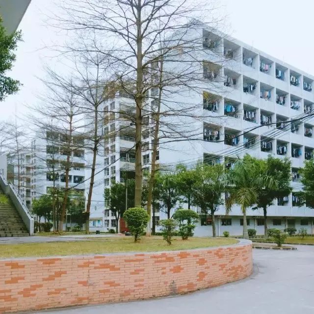 广州科技贸易职业学院招生简章,广州科技贸易职业学院2024年招生