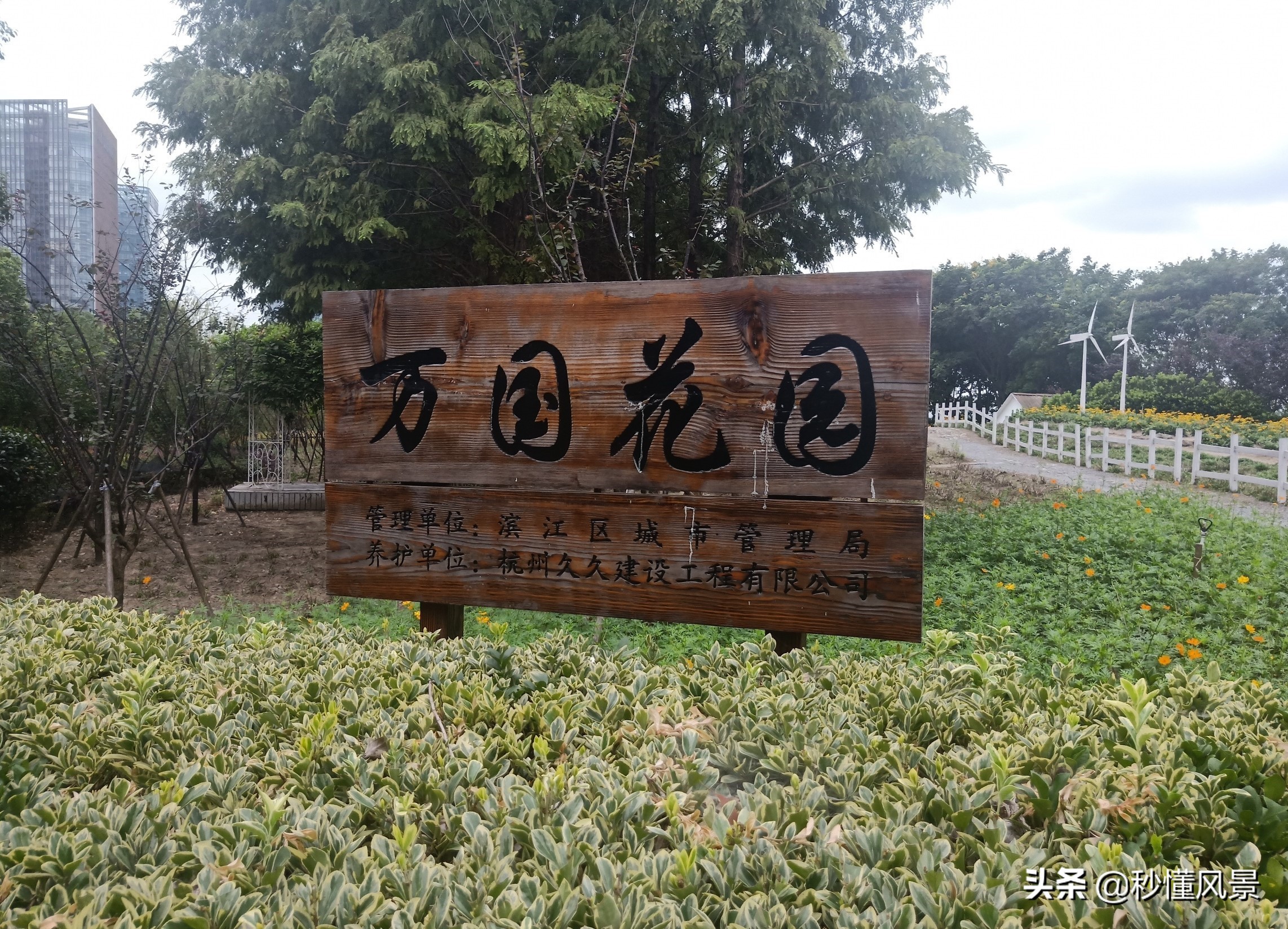 杭州钱塘江观赏地,杭州钱塘江风景最好的地方是