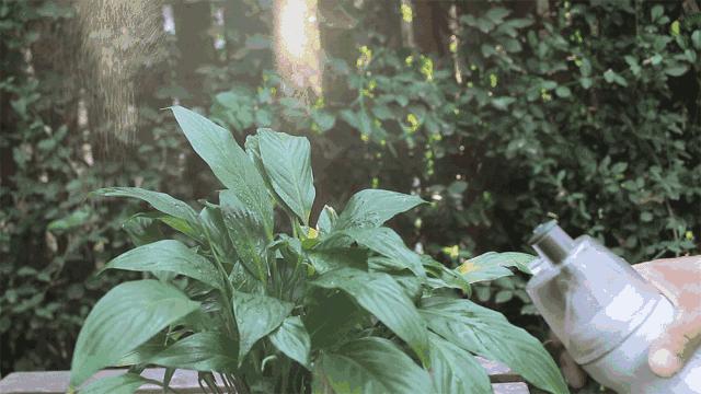 海边带娃旅游必备物品,带娃旅行必备好物