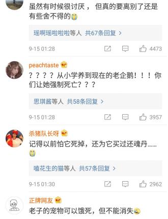 webqq下线,webqq怎么样了