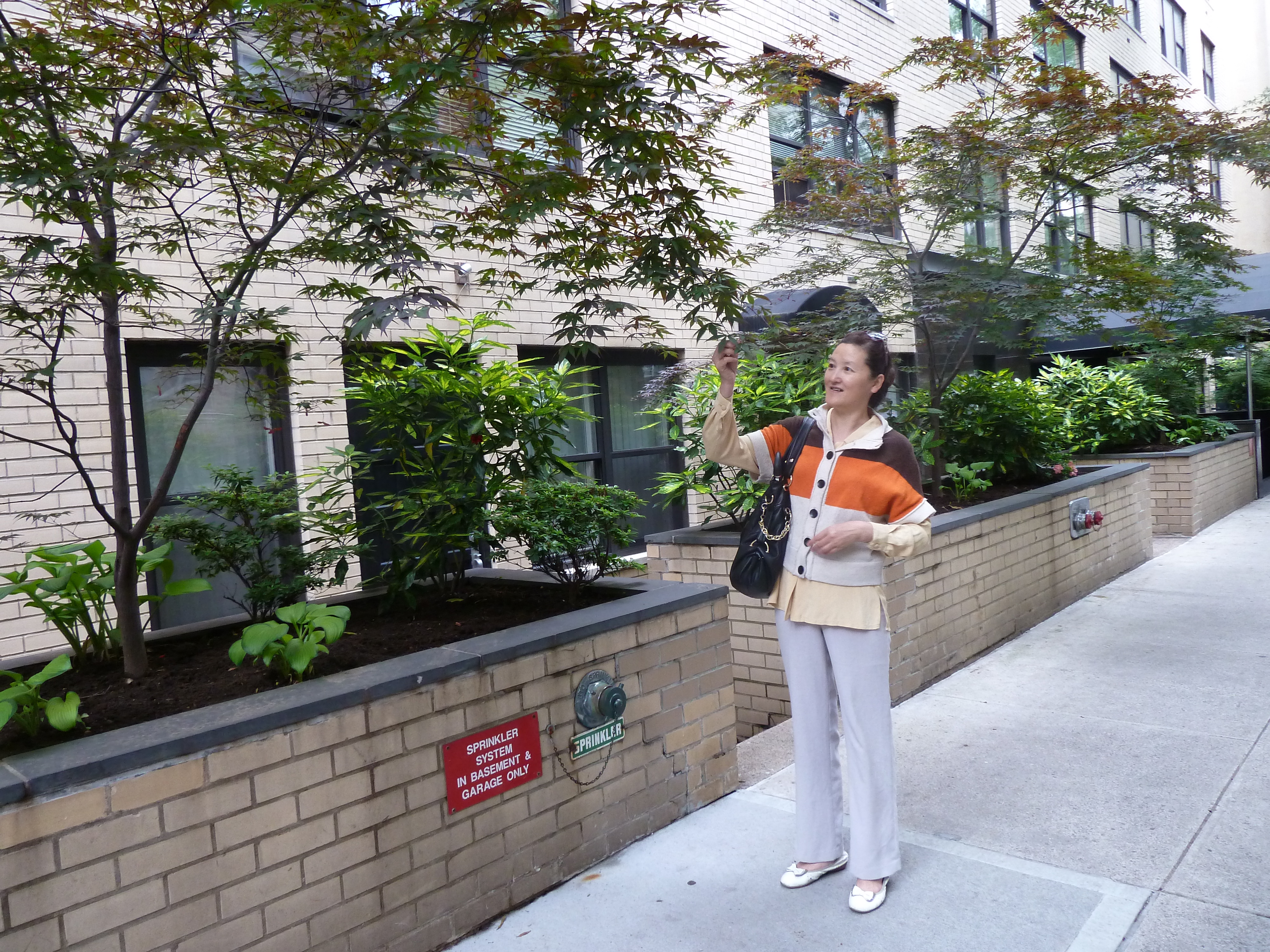 正确识字，所有外语都简单可爱