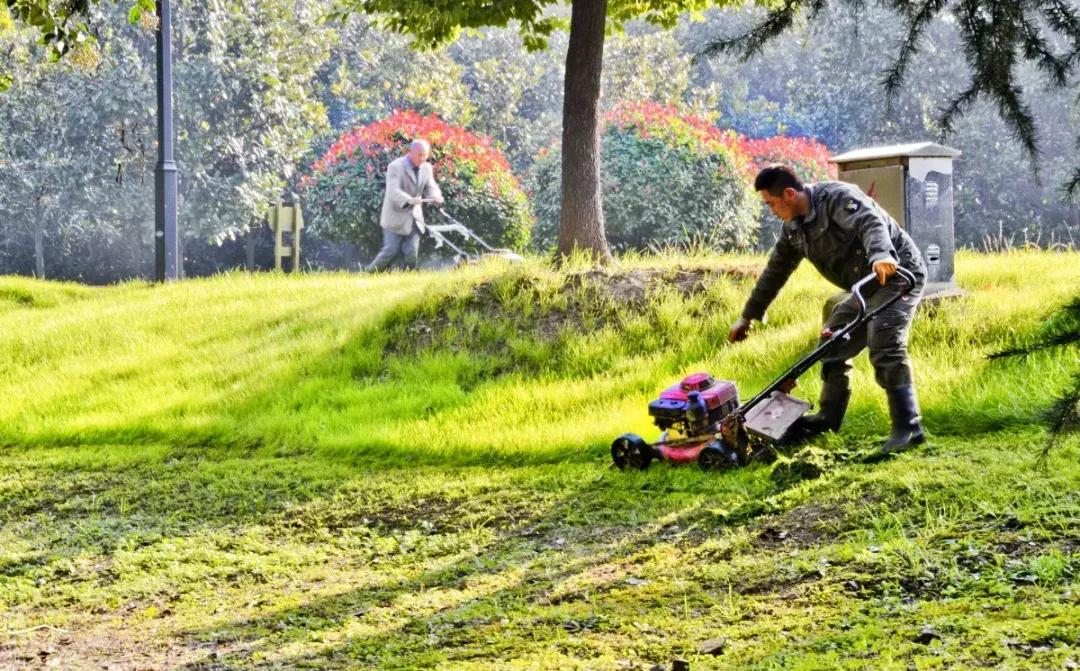 淮安生态环境保护摄影比赛,摄影大师在淮安