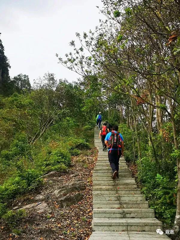 乐清仙溪有哪里好玩的 (乐清仙溪镇景点)