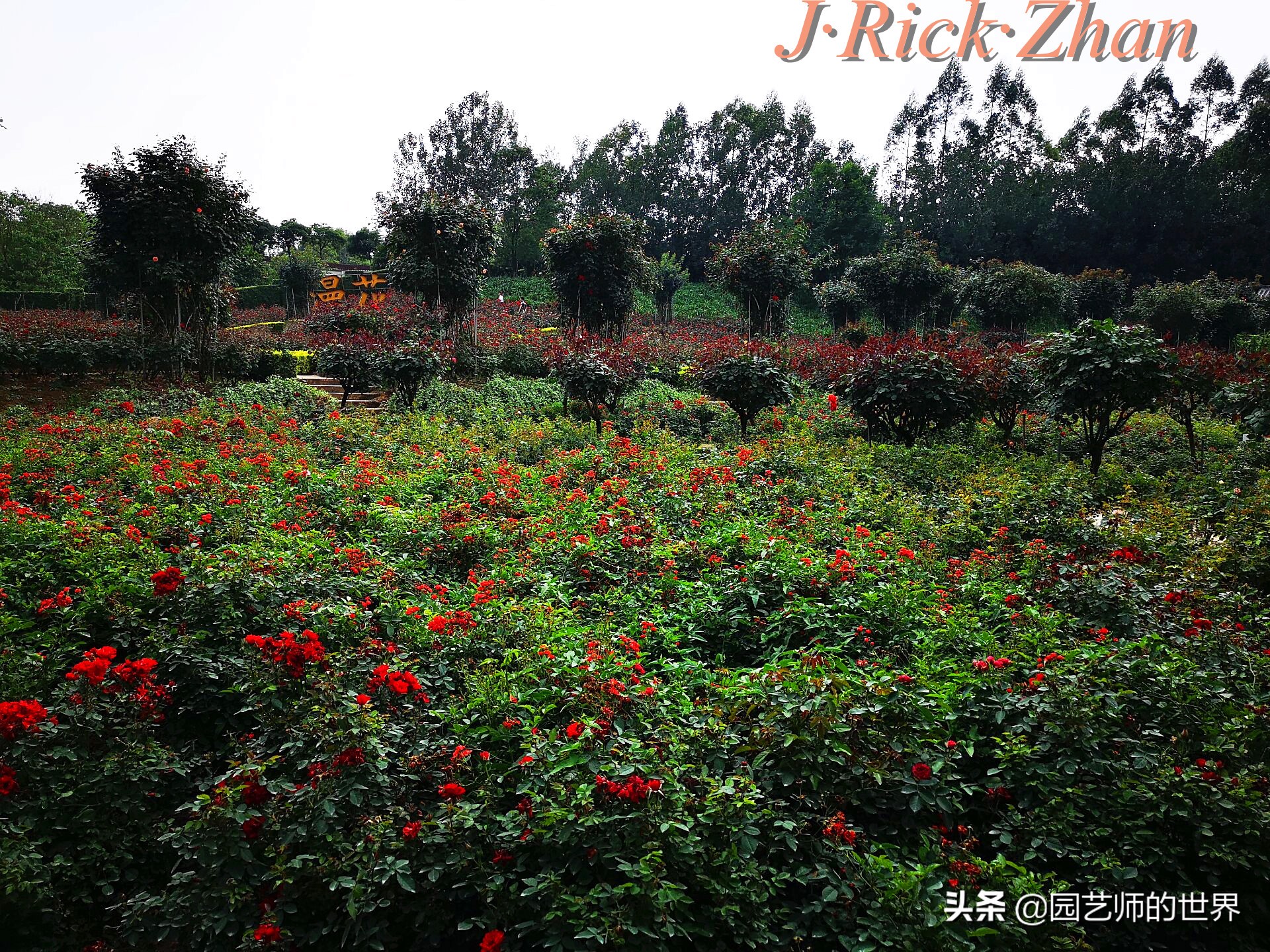 值得参观的国内优秀花园之品鉴（上篇）