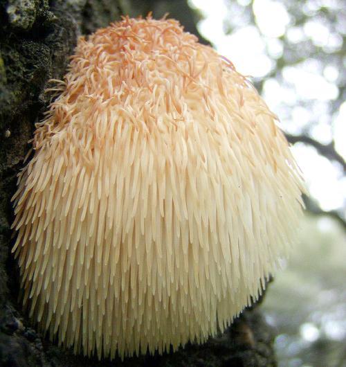 哈尔滨市内环境,哈尔滨一年四季的现状