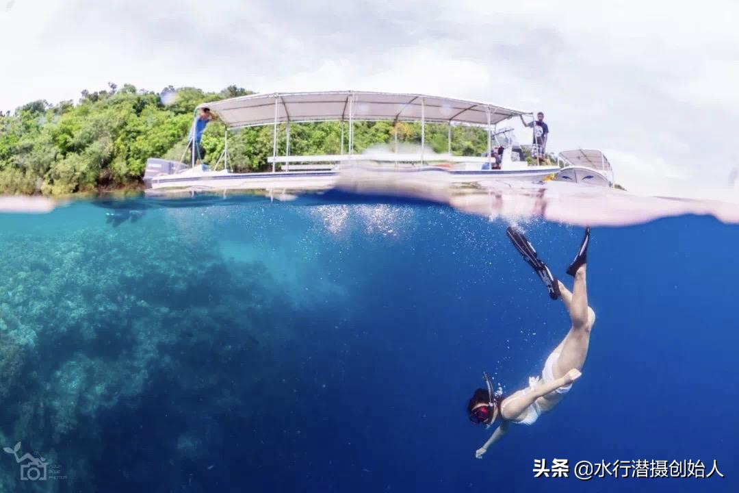 帕劳岛自由行潜水,帕劳水母湖自由潜视频