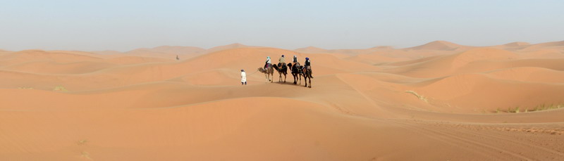 撒哈拉沙尘暴照片,撒哈拉沙漠沙尘暴实拍