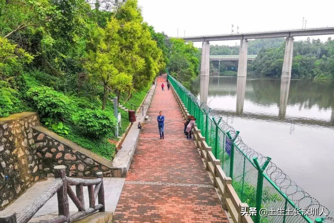 三围、四和、五联、六约，深圳这些有意思的地名是怎么来的