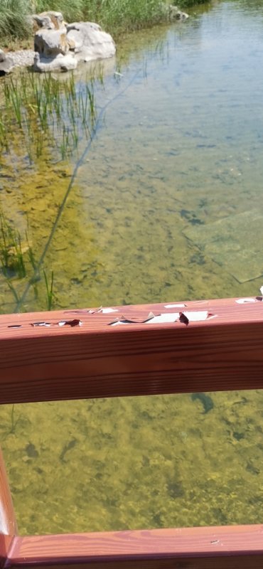 木纹砖买家秀,红木家具买家秀与卖家秀