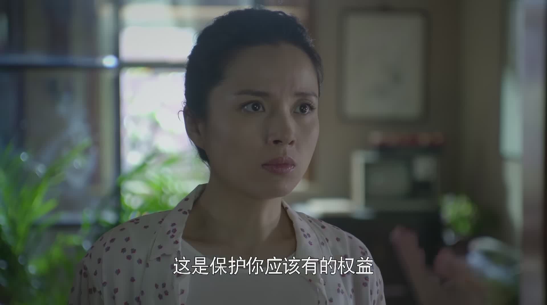 虎妈猫爸童年回忆,虎妈猫爸旧情复燃