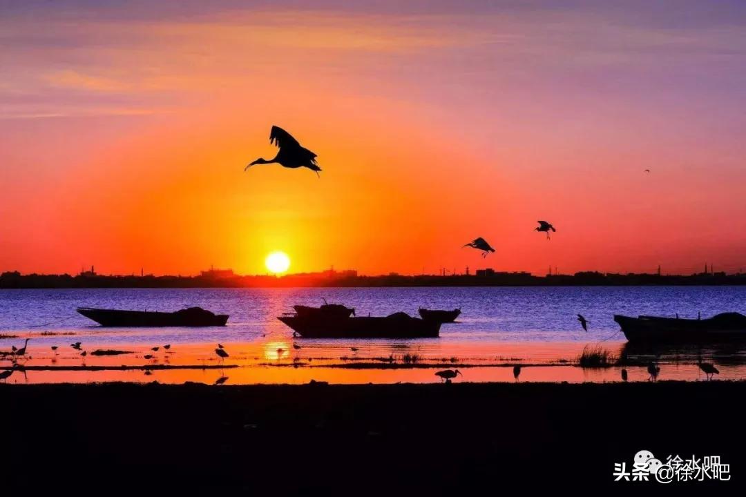 「徐水映像」换个角度看保定徐水,美