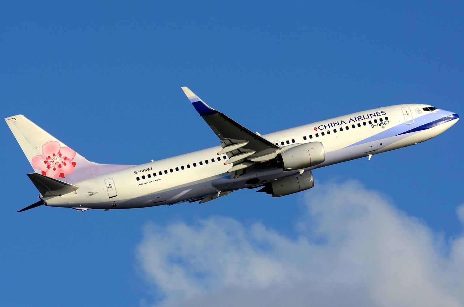 汽车有号牌能选号吗,汽车有飞机牌么